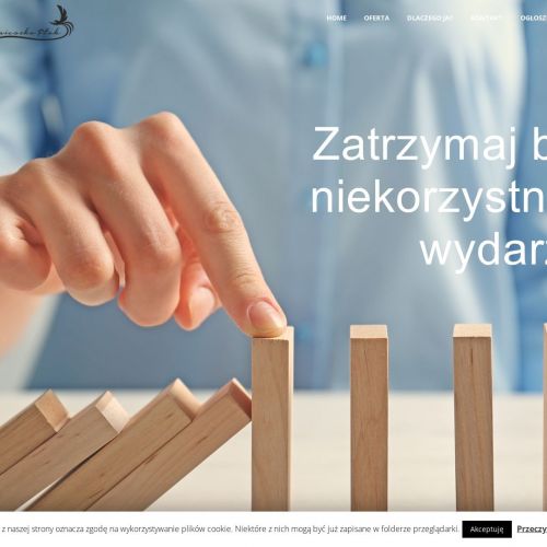 Upadłość konsumencka osób fizycznych łódź w Łodzi