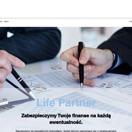 Agent ubezpieczeniowy metlife - Warszawa