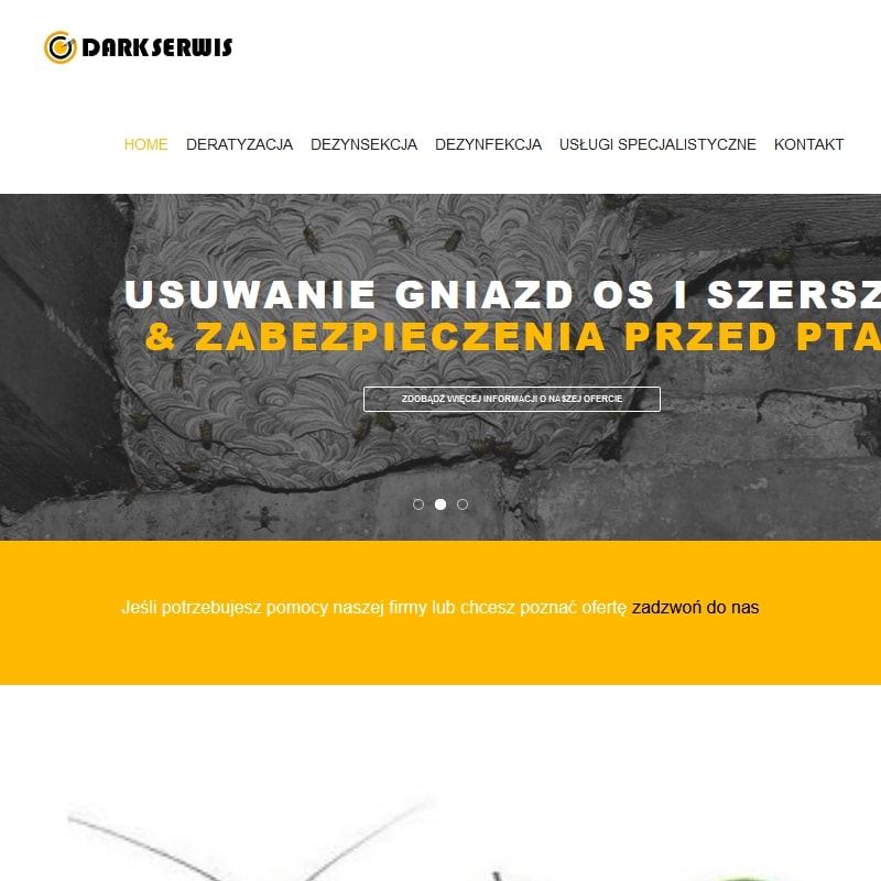 Zwalczanie mrówek śląskie w Gliwicach