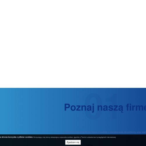 Katowice - vw california wynajem