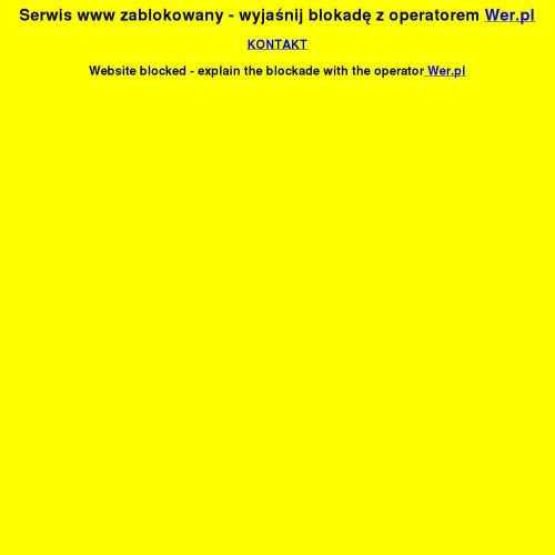 Modele do sklejania z farbami i klejem