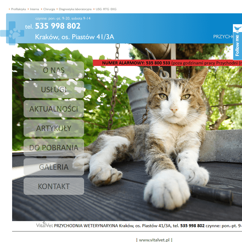 Skawina - klinika dla zwierząt